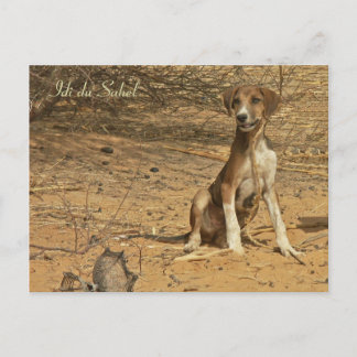 Postale Carte Idi du Sahel