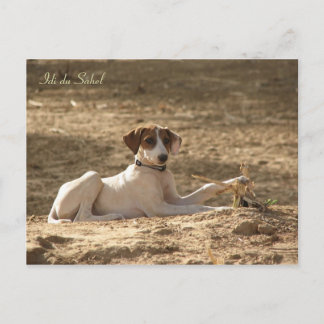 Postale Carte Idi du Sahel