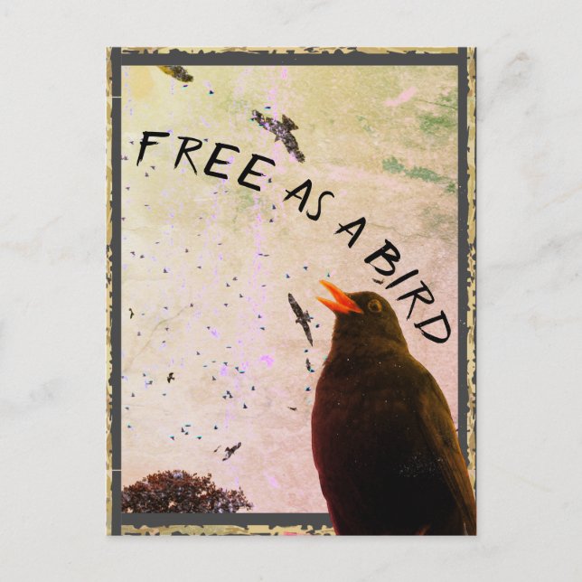 Postale Carte Junction No 16 : Gratuit comme oiseau (Devant)