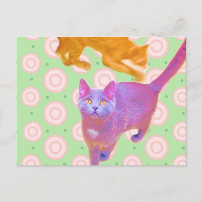 Postale Carte Kitties rétro (Devant)