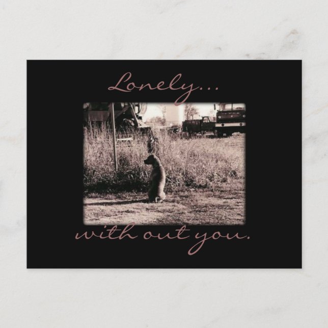 Postale Carte - Lonely (Devant)