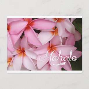 Postale Carte Mahalo Plumeria rose