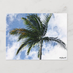 Postale carte mylife isart palmier