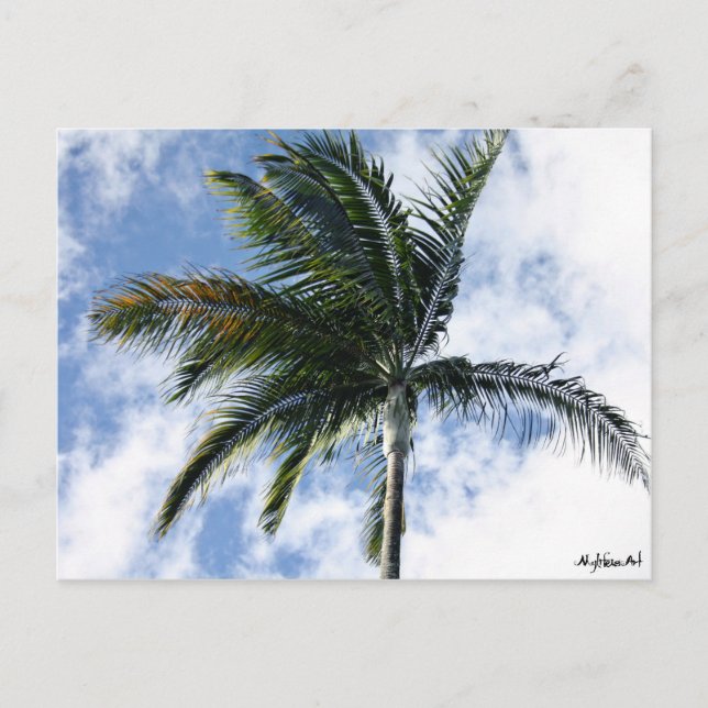 Postale carte mylife isart palmier (Devant)