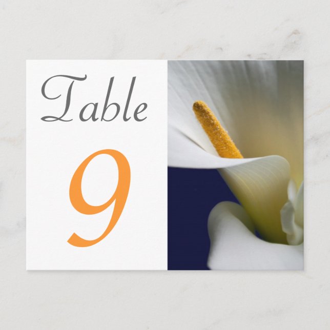 Postale Carte Numéro de tableau Calla Lily (Devant)
