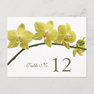 Postale Carte Numéro du tableau Orchidées Jaunes