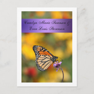 Postale Carte papillon Monarch