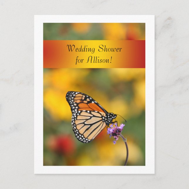 Postale Carte papillon Monarch (Devant)