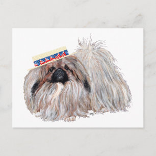 Postale Carte Patriotique Pekingese