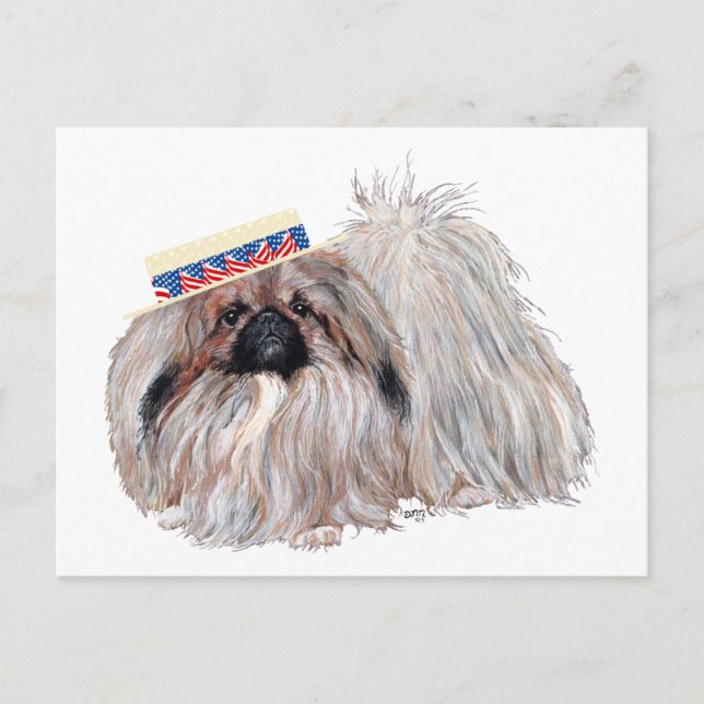 Postale Carte Pékinais Patriotique (Devant)