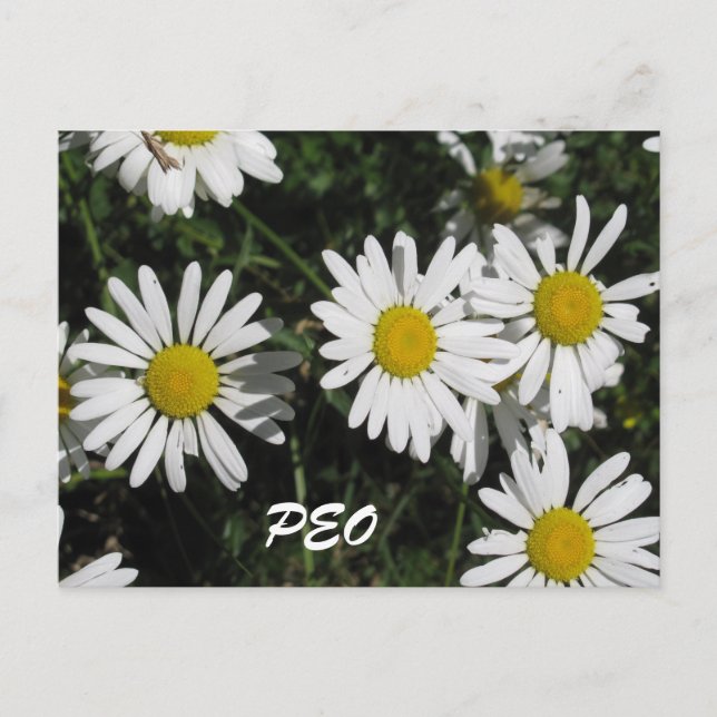 Postale Carte PEO (Devant)