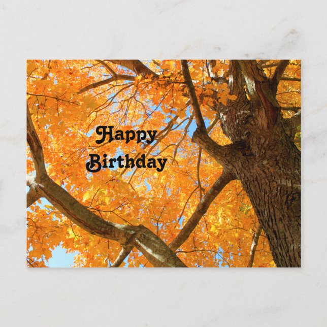 Postale Carte Photo d'anniversaire d'Érable Jaune d'Automn (Devant)