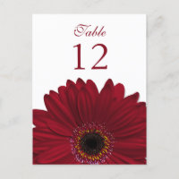 Carte Plat rouge profonde Gerbera Daisy Numéro de