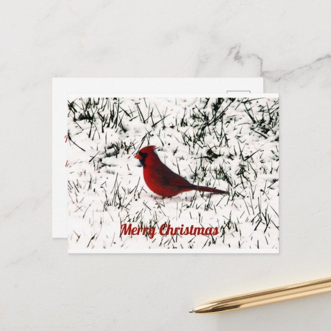 Postale Carte plate de Noël Joyeux Cardinal (Devant/Arrière en situation)