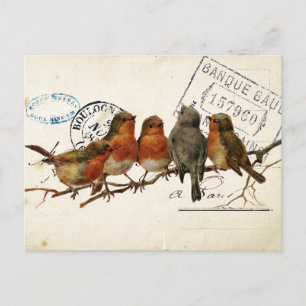 Postale Carte Poids D'Oiseaux Postaux 3 de 4 (Robins Europ
