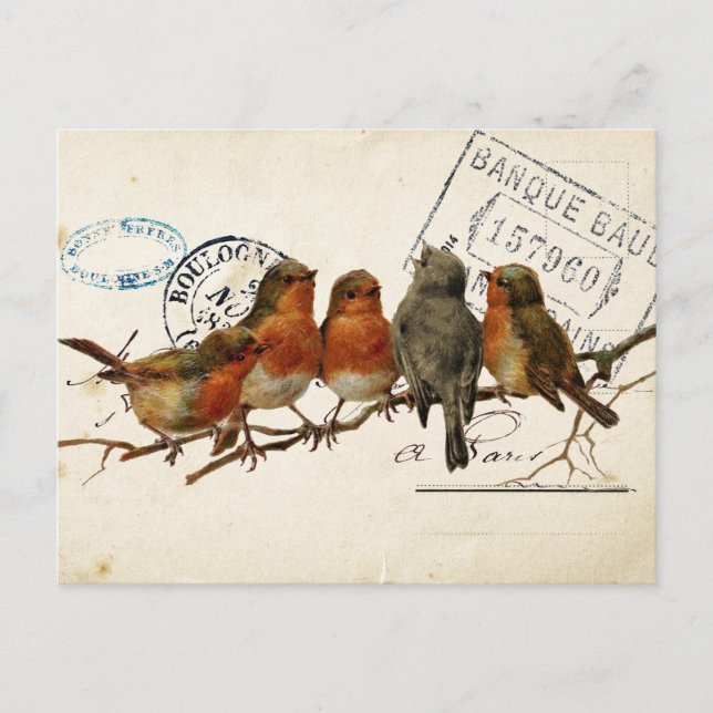 Postale Carte Poids D'Oiseaux Postaux 3 de 4 (Robins Europ (Devant)