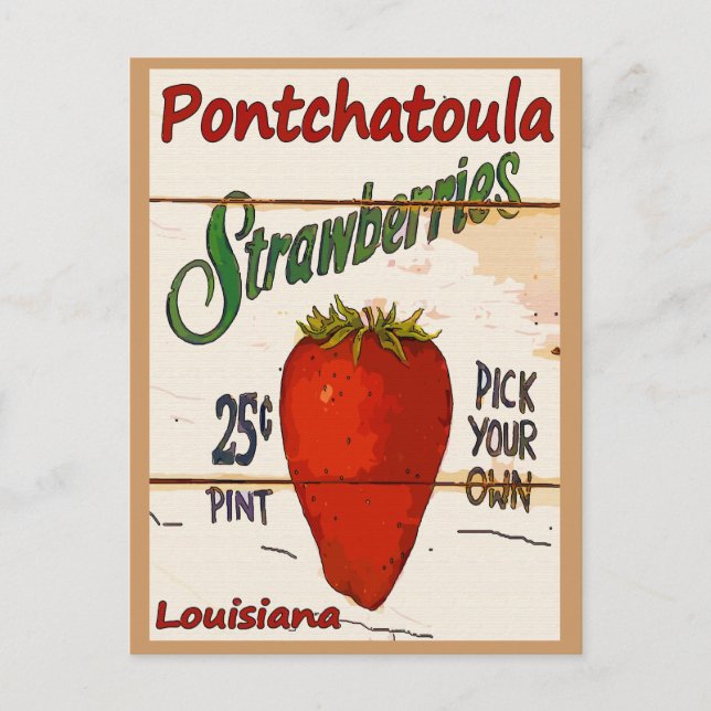 Postale Carte Ponchatoula Strawberries (Devant)