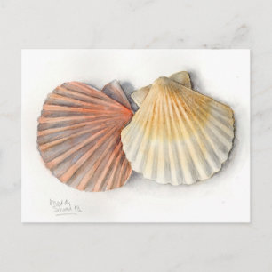 Postale Carte Post Art - Coques de mer, Aquarelle