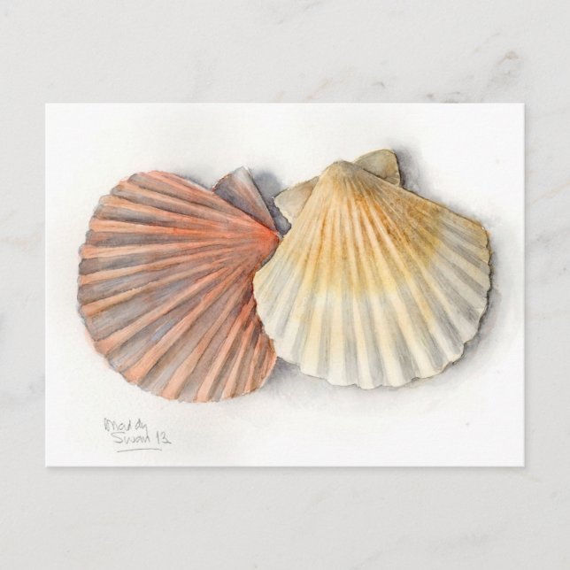 Postale Carte Post Art - Coques de mer, Aquarelle (Devant)