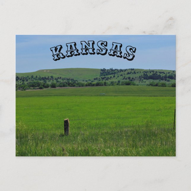 Postale CARTE POST Kansas Green Meadow (Devant)