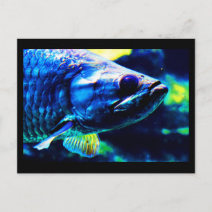 Postale Carte postale-Animaux-19