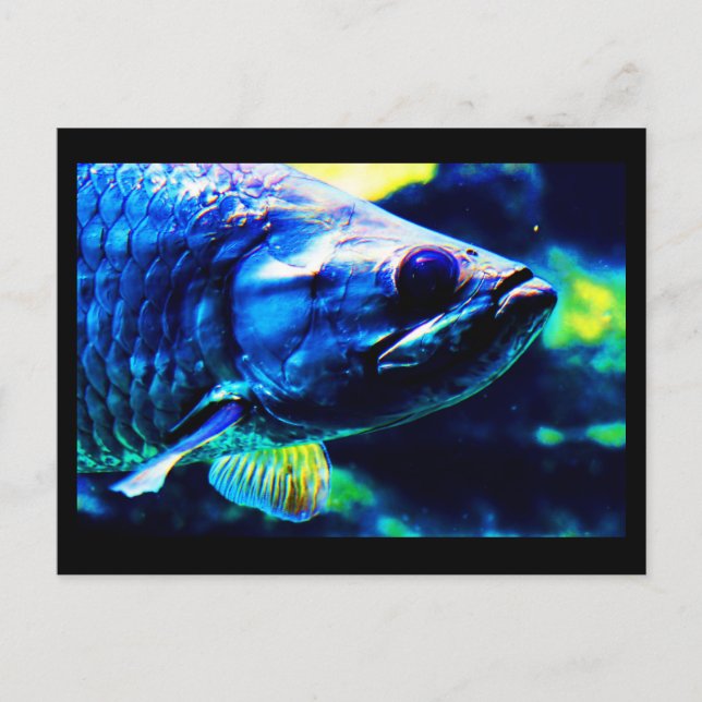 Postale Carte postale-Animaux-19 (Devant)