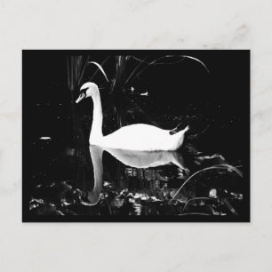 Postale Carte postale-Animaux-23