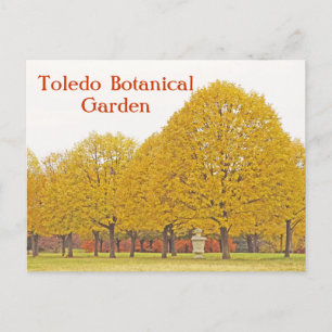 POSTALE CARTE POSTALE, "ARBRES D'OR" TOLEDO JARDIN BOTANIQ