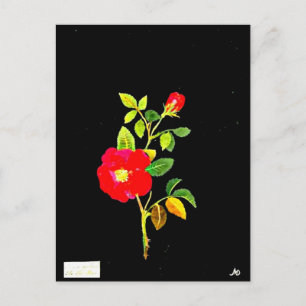 Postale Carte postale-Art botanique-Mary Delany 16