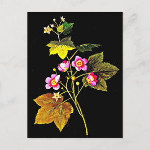 Postale Carte postale-Art botanique-Mary Delany 4