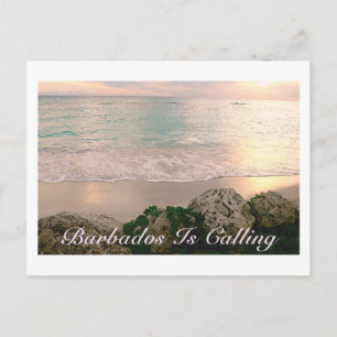 POSTALE CARTE POSTALE/"BARBADOS APPELLE"/COULEURS MUTÉES D