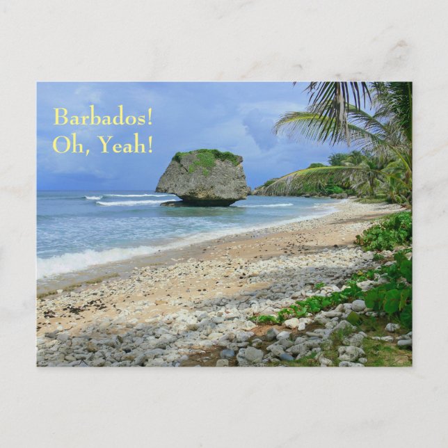 Postale carte postale, BARBADOS ! OH, OUI !/ BATHSHEBA ROC (Devant)
