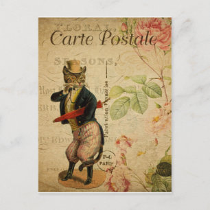 Postale Carte Postale. Chat vintage.