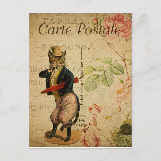 Postale Carte Postale. Chat vintage. (Devant)