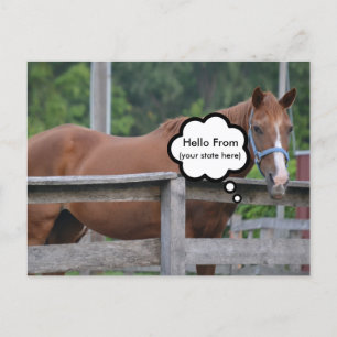 Postale Carte postale/Cheval