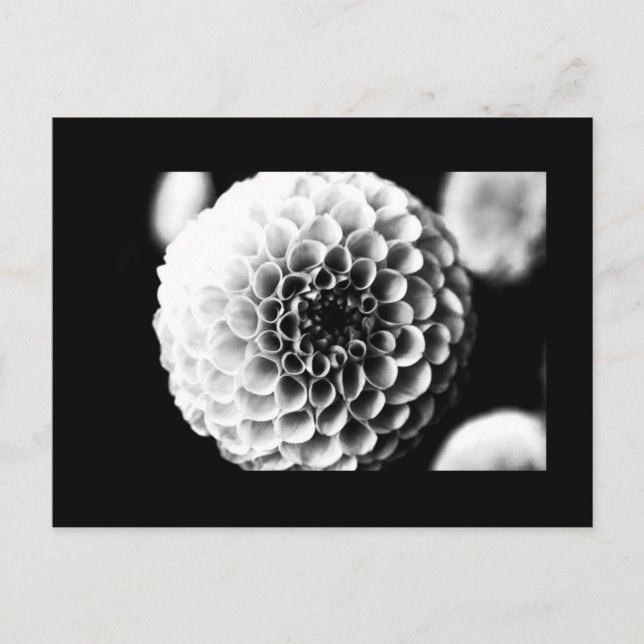Postale Carte postale-Fleurs-51 (Devant)