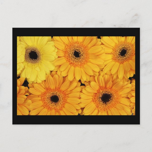 Postale Carte postale-Fleurs-6 (Devant)