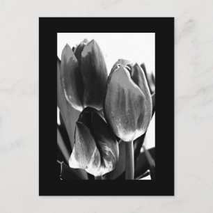 Postale Carte postale-Fleurs-64