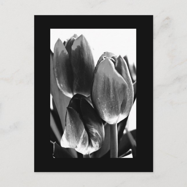 Postale Carte postale-Fleurs-64 (Devant)
