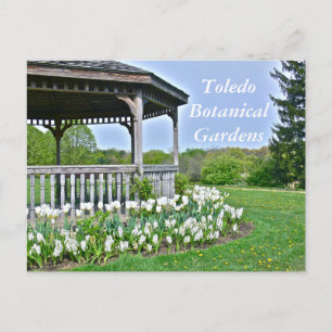 POSTALE CARTE POSTALE, "GAZEBO AND WHITE TULIPS"/TOLEDO BO