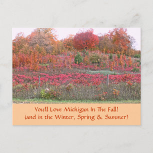 Postale CARTE POSTALE, "HILLSIDE ABLAZE with COLOR" (MICHI