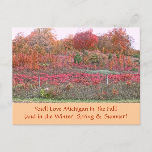 Postale CARTE POSTALE, "HILLSIDE ABLAZE with COLOR" (MICHI (Devant)