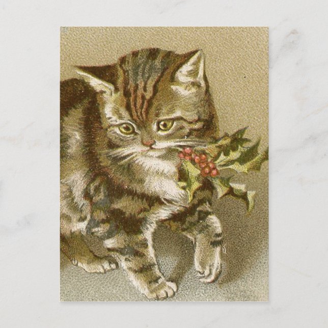Postale Carte postale:  Kitty avec Holly Sprig (Devant)
