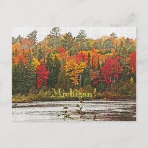 POSTALE CARTE POSTALE/MICHIGAN !/COULEUR DE CHUTE VIBRANTE