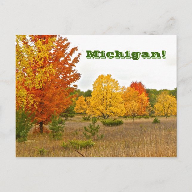Postale carte postale"MICHIGAN VIENT AVEC LA COULEUR VIBRA (Devant)