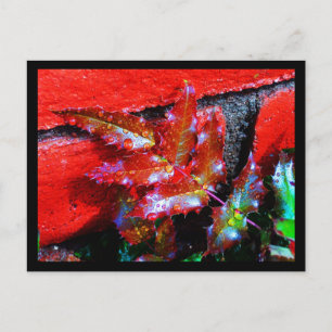 Postale Carte postale-Nature-Art de la pluie 32