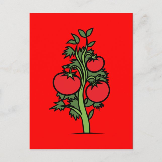 Postale Carte postale-Nourriture/Boisson-24 (Devant)