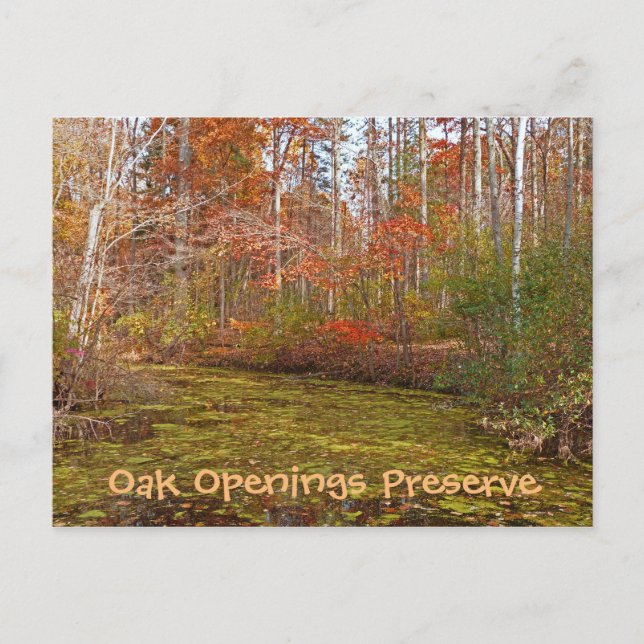 POSTALE CARTE POSTALE, OUVRAGES DE CHÊNE PRÉSERVATION, PAR (Devant)