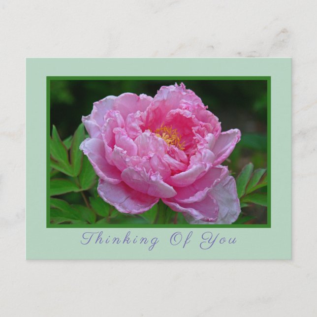 POSTALE CARTE POSTALE, "PEONK PEONKING/THINKING OF YOU" CA (Devant)