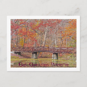 POSTALE CARTE POSTALE/PONT À MALLARD LAKE/OAK OUVERNEMENTS